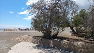 GC-Playa de San Agustin 2026-025.jpg
